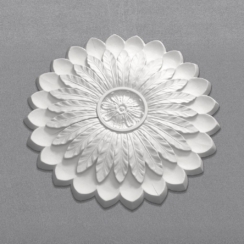 Cc10 render2 on grey background