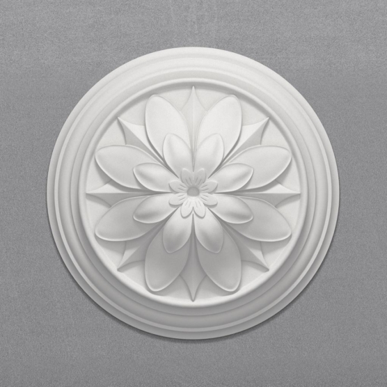 Cc18 render1 on grey background