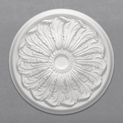 Cc29 render1 on grey background