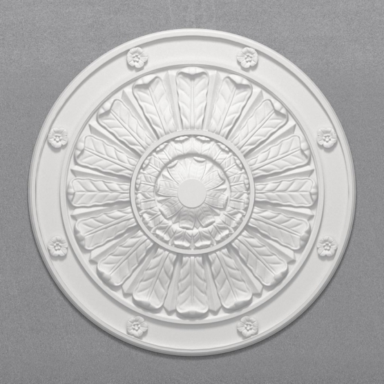 Cc43 render1 on grey background