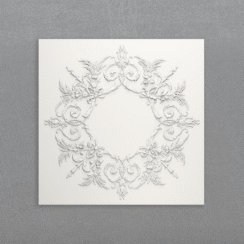 CC55 render 1