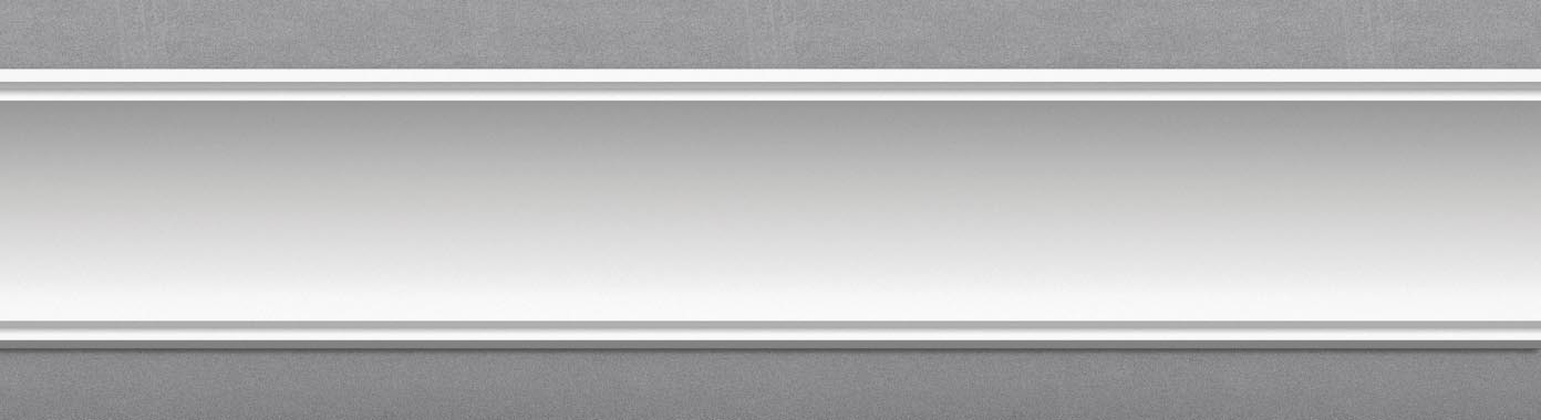 LR43 render1 on grey textured background long